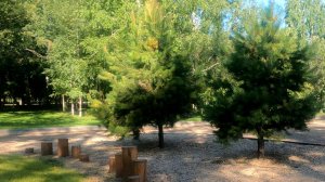 Реконструкция парка г.Красноярск август 2024г.