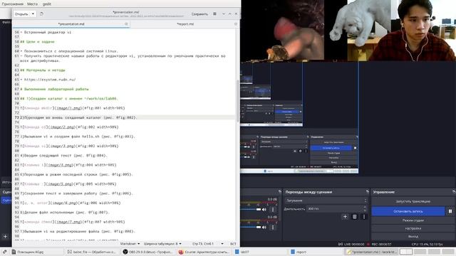 Лабораторная работа № 8. Оформление презентации. смотреть онлайн