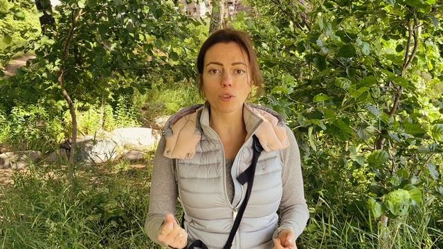 Как есть много фруктов и ягод, без вреда для зубов??? #здоровыезубы #похудение #сыроедение #зож #пп