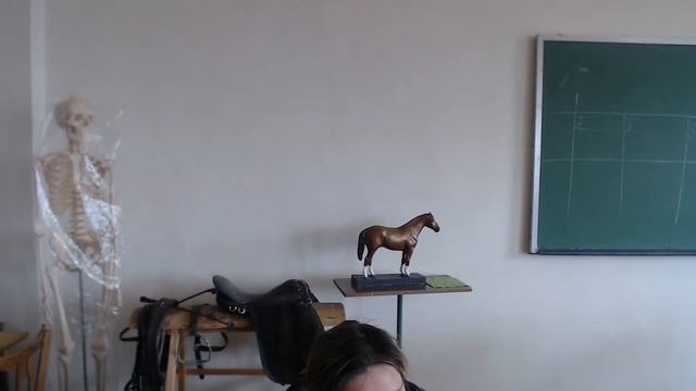 Лекция Спортивная педагогика 09.04.2020 смотреть онлайн