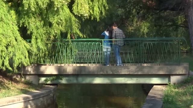 Zoom optic 30x - camera foto compacta Sony HX60 смотреть онлайн