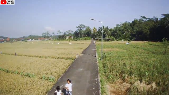 DRONE MJX BUGS 19 | PEMANDANGAN SAWAH YANG MENGUNING DI DESA PEKIRINGAN KECAMATAN KARANGMONCOL смотреть онлайн