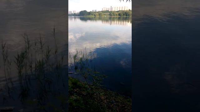 Пруд Борисовский смотреть онлайн