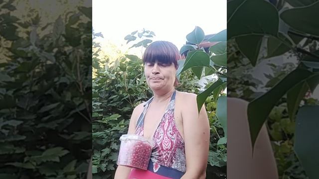 Моя мечта. Кампот с красной паречки. смотреть онлайн