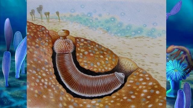 Развитие жизни на Земле (The Evolution Of Life) - Оттойя (Ottoia Prolifica)