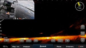 Судак на каждом забросе! Panoptix LiveScope. Рыбалка в Финляндии. Трофейная рыбалка