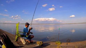 Городская рыбалка на фидер. Вышгород. Отпустим сомика???