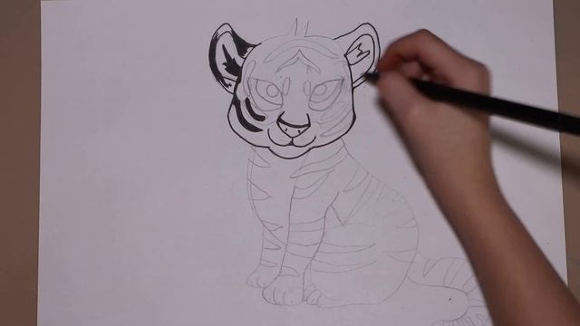Как нарисовать Амурского тигра карандашом поэтапно