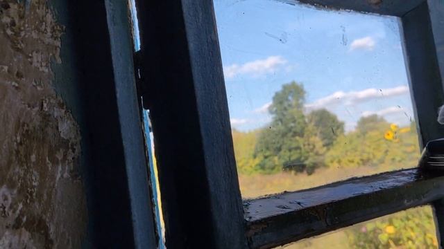 Завершающая побелка и покраска. Добавление пигмента в известь. Ремонт своими руками почти закончен.