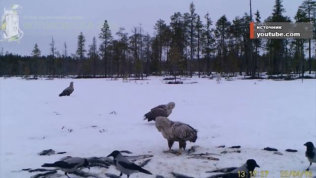 17 01 20 Награждение автора победного видео в парке Нумто смотреть онлайн