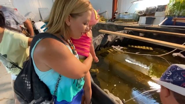 Первый раз пробую устрицы в Крыму! Моя реакция! Крымские морепродукты в Донузлав. смотреть онлайн