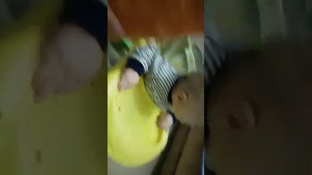 Самая большая морковка в семье смотреть онлайн