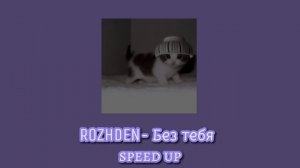 ROZHDEN- Без тебя// speed up (но без тебя я б не знал где небо где земля)