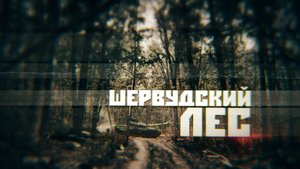Как союзные силы освобождают стратегически важный лесной массив под Славянском — видео