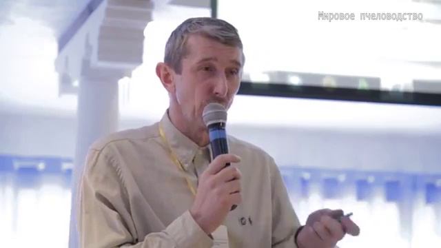 Мёд как консервант смотреть онлайн