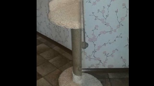 Когтеточка своими руками. Варианты домиков и когтеточек для кошек.