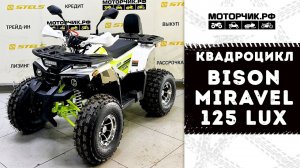 Квадроцикл Bison Miravel 125 Lux