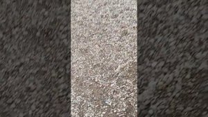 идём тегать