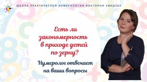 Нумерология по дате рождения. Есть ли закономерность в приходе детей по зерну?