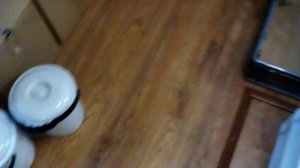 Дендробена.С чего начать?