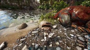 ПРИРУЧЕНИЕ ВЫДРЫ (OTTER), ГДЕ НАЙТИ, ЧТО ОНА УМЕЕТ - ARK  267