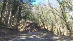 Дорога на водопад Учан-Су
