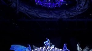 Цирк дю Солей -  крутые факты и отрывок представления / Цирк дю Солей Аватар в Дубае