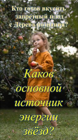 Каков основной источник энергии звёзд?