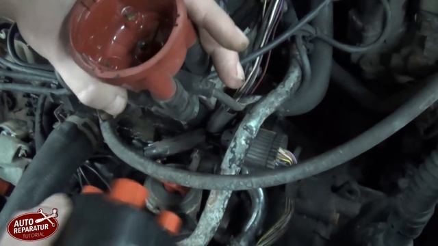 VW Golf 3 Verteilerkappe Zündkabel Verteilerfinger wechseln | Auto Tutorial смотреть онлайн