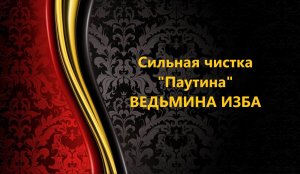 СИЛЬНАЯ ЧИСТКА ПАУТИНА..АВТОР: ИНГА ХОСРОЕВА