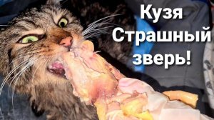 #2 ПРОГРЕСС  у Кузи. Распаковка посылки с Москвы