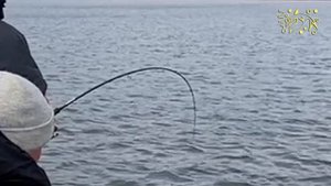 Камский монстр. KZN Fishing в гостях у Могуч Удмурт.