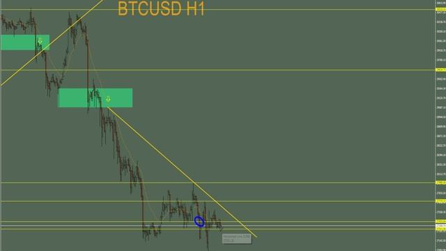 КАК ОПРЕДЕЛИТЬ РАЗВОРОТ Биткоин BTCUSD ПРОГНОЗ 25.04.2023 стратегии для новичков Форекс АНТОНRUZ