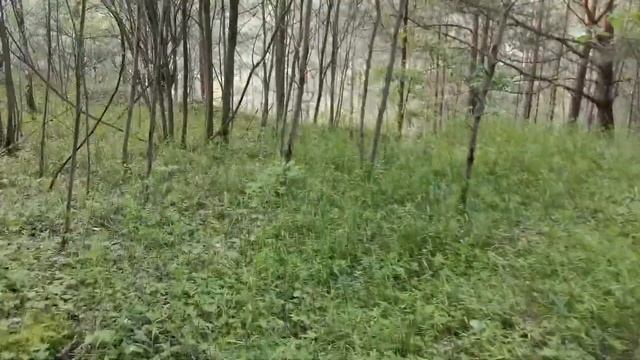 Обнинск, снт Приборист смотреть онлайн