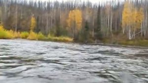 Водомёт Карась