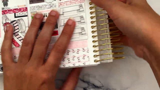 Plan With Me ft. Little Paper Prints смотреть онлайн