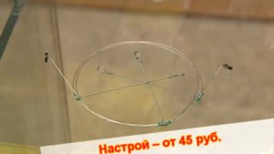 Рыжий отдых-КРАСНОЯРСК
