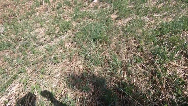 Коп металолома и хорошеее настроение смотреть онлайн