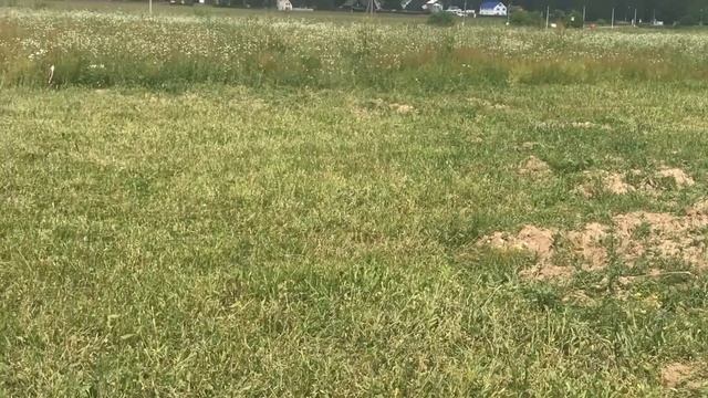 Купили участок 6 соток в чистом поле. Наняли трактор. Вспашка.  Здесь будет дача!