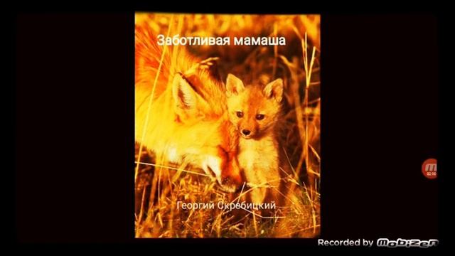 ЗАБОТЛИВАЯ МАМАША  ? рассказ ? аудио ? автор Георгий Скребицкий ?