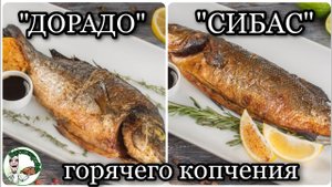 КАК ПРАВИЛЬНО ЗАКОПТИТЬ РЫБУ (ДОРАДО И СИБАС)