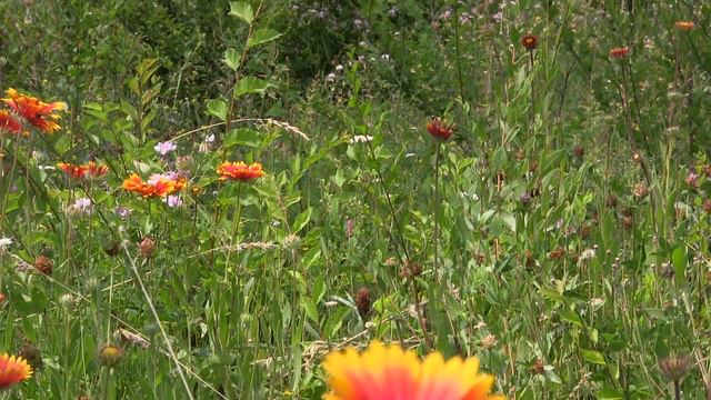 Мысли о добре и зле смотреть онлайн