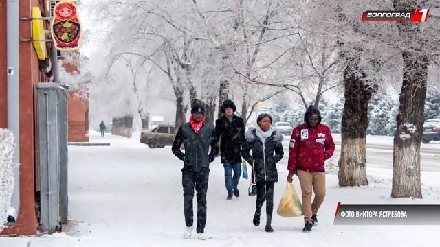 СКРЫТАЯ КРАСОТА ВОЛГОГРАДСКОЙ ЗИМЫ смотреть онлайн