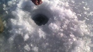 Липецкая область село Вербилово