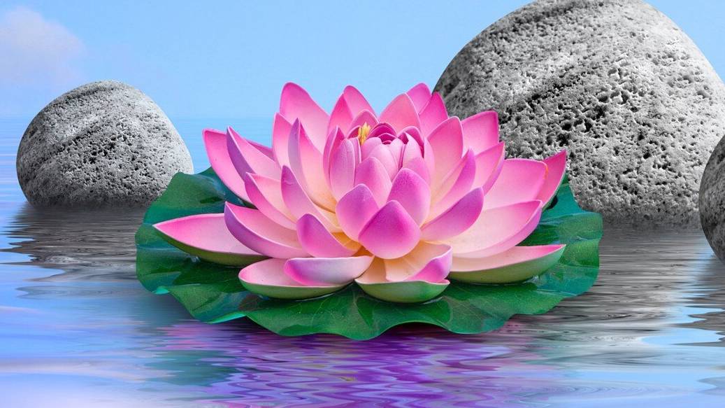 музыка – смотреть онлайн все 1 видео от музыка в хорошем качестве на RUTUBE