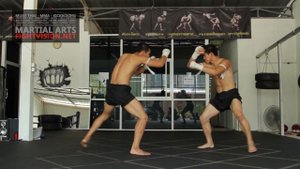 Muay Boran Techniques Full course Beginners to Advanced | Thai Boxing