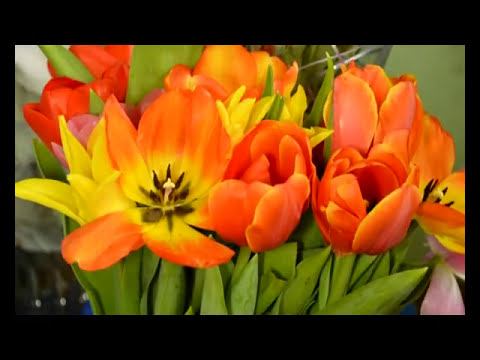 Есть такая профессия. Флорист