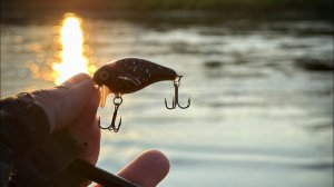 ЛЕГЕНДАРНАЯ ПРИМАНКА В ДЕЛЕ! Вечерняя рыбалка в июле.