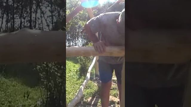 КАК БЫСТРО И ДЕШЕВО СДЕЛАТЬ БЕСЕДКУ НЕ КАК У ВСЕХ смотреть онлайн