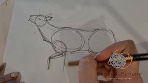 Видеоурок "Как нарисовать животного (оленя).